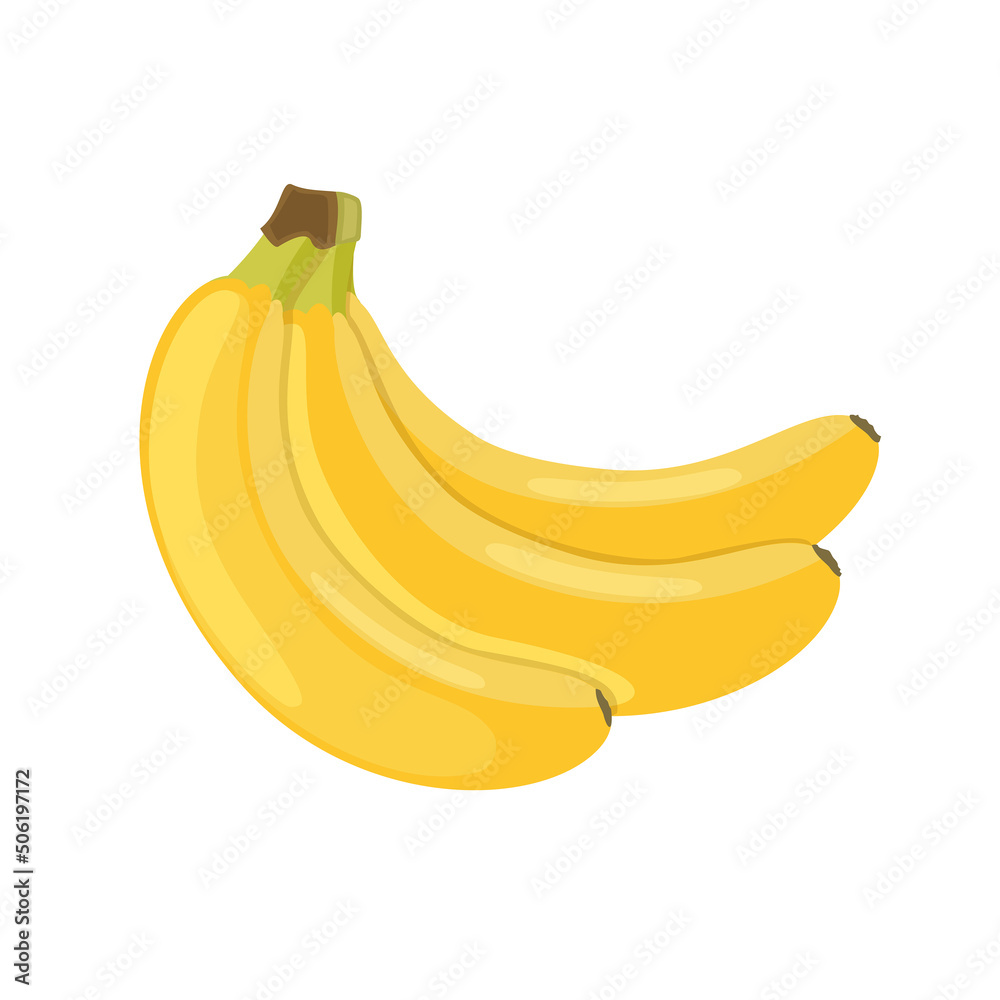 Bananas bunch, vector illustration isolated on white background in flat style