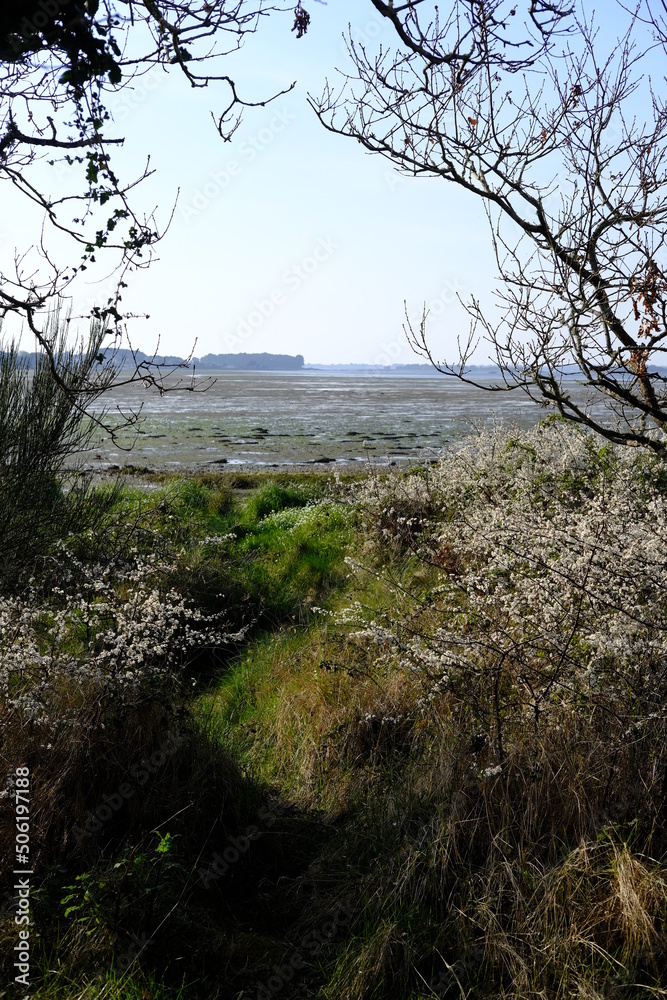 The spring at the Morbihan gulf. The spring at the Morbihan gulf.