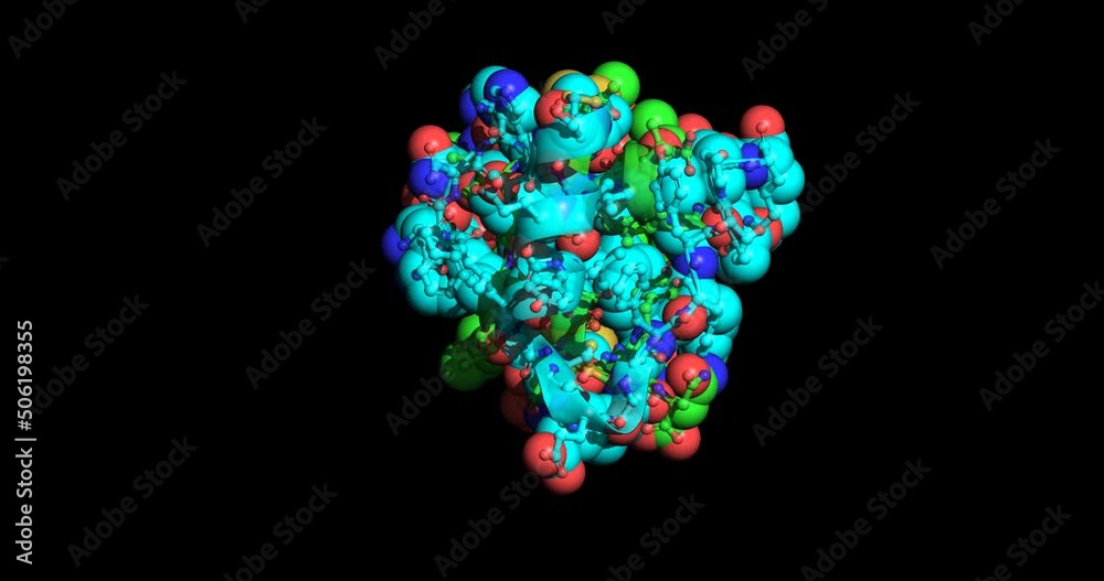 Insulin molecule, 4K
Insulin molecule, 4K