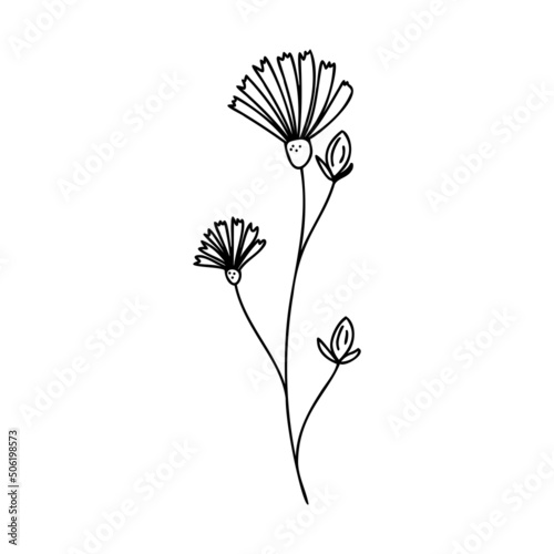 Hand drawn plant element  twig  flower isolated on a white background. Doodle  simple outline illustration. It can be used for decoration of textile  paper.