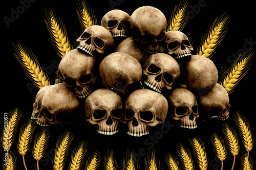 Skull and ears on a black background. An illustration on the topic of a possible world famine due to the blockade of Ukrainian ports by Russian ships. Famine in Africa photo