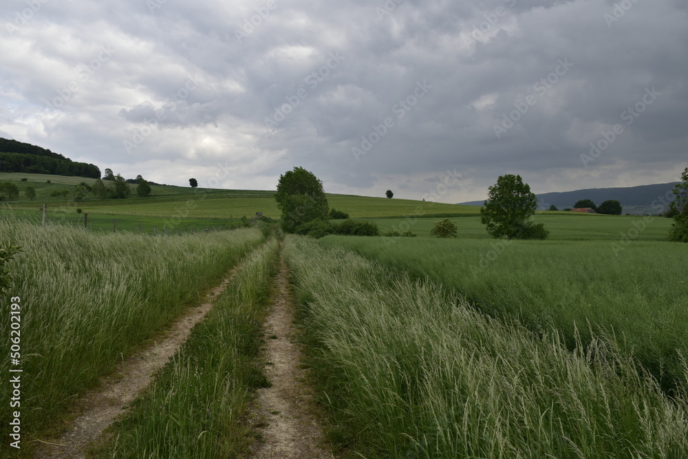 Landschaft und Weg bei Salzhemmendorf