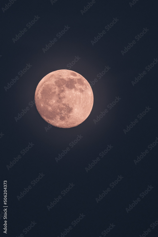 Moon Light Moon Light