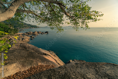 View of the sea and rocky coast from the cliff on a summer morning.  Tree in the foreground © mizuno555