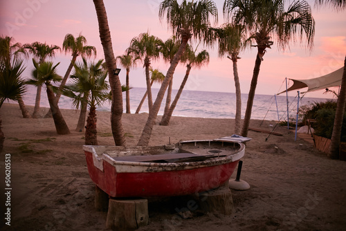 Old wooden boat by the sea among palm trees.  