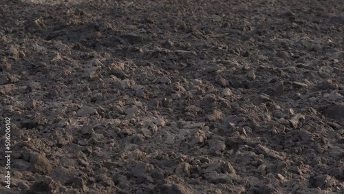 Plowed agricultural field for sowing. The process of preparing the soil before planting cereals, legumes, nightshade crops. Farming and food industry