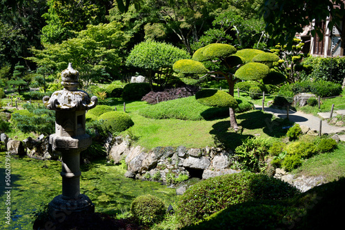 jardin japonais photo