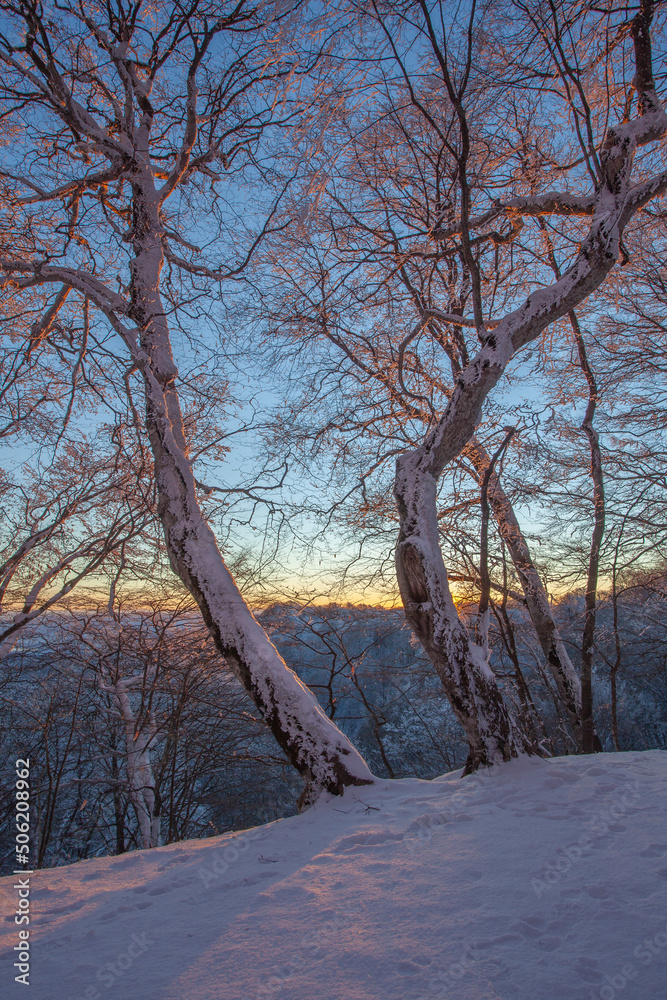 Sunset in Sabaduri forest, beautiful winter landscape Sunset in Sabaduri forest, beautiful winter landscape