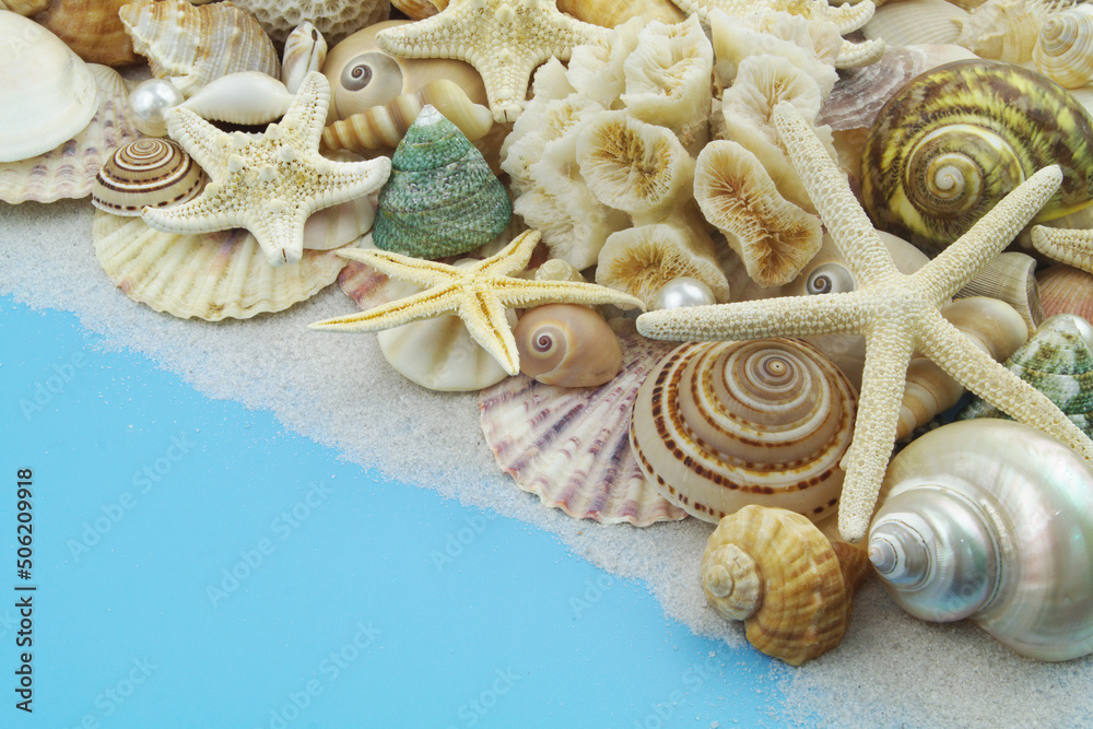 Tropical seashells and pearls with starfishes and corals on blue background close up Tropical seashells and pearls with starfishes and corals on blue background close up