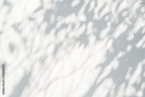 Tree shadow and leaf branch background. Nature leaves tropical jungle tree branch dark shadow and light from sunlight on white wall texture for background wallpaper, shadow overlay effect