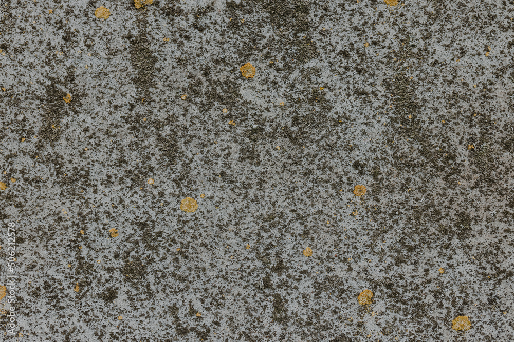 rough wall texture background collection. damaged dirty mossy wall surface in panorama. 3d textured background for interior, decoration, wallpaper, etc. rough wall texture background collection. damaged dirty mossy wall surface in panorama. 3d textured background for interior, decoration, wallpaper, etc.