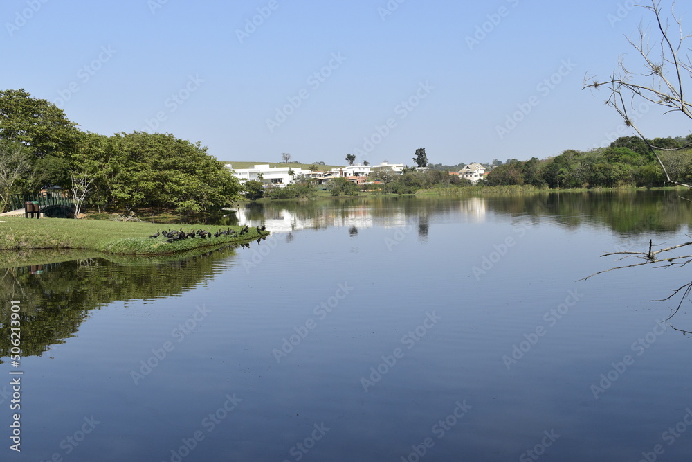 reflections in the water