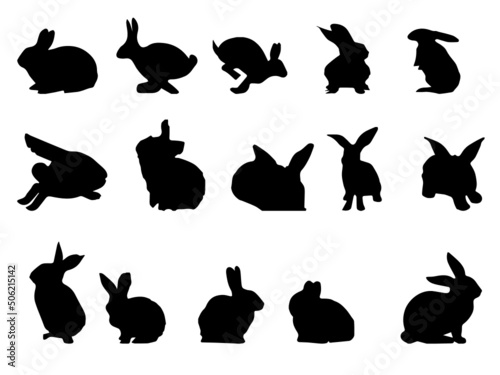 Rabbit Vectors and Illustrations. Rabbit Vector Art and Graphics.Rabbit vector images
