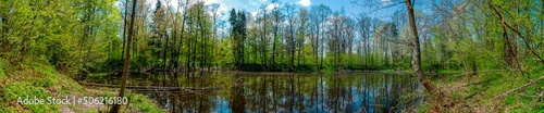 Panorama of forest lakes in spring, young leaves and freshly blossomed buds of trees and shrubs