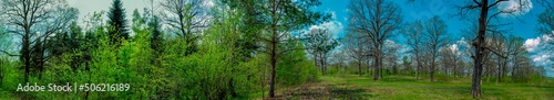 Spring forest and field on a background of blue sky © mikhailgrytsiv