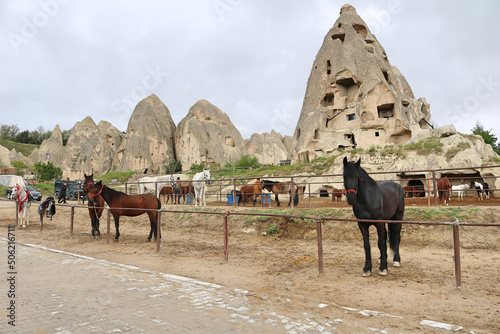 Stable with horses in Cappadocia