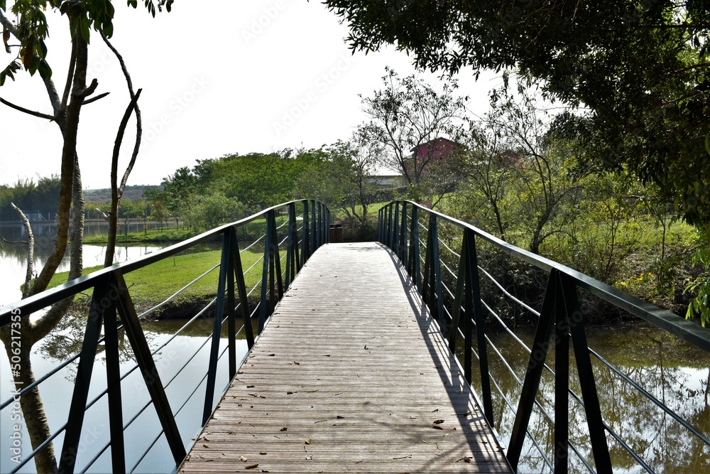 Fototapeta premium wooden bridge in the park