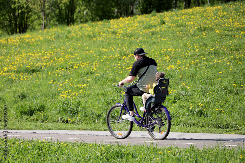 Fototapeta premium Man with kid girl on back seat riding on a bicycle in a green park. Father with daughter, family leisure in spring or summer