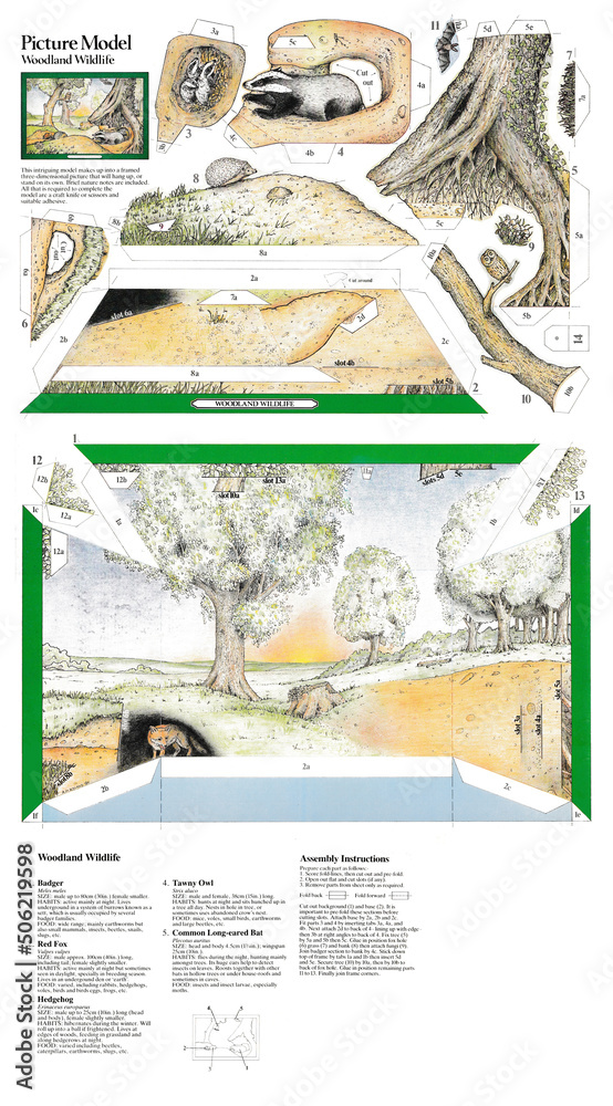 Fototapeta premium Picture Model. Woodland Wildlife. 3 dimensional scene to cut out and assemble.