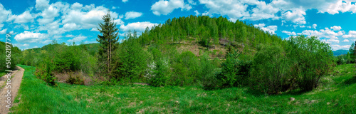 Panorama of the spring forest near the mountain town. Picturesque landscape of a sunny day.