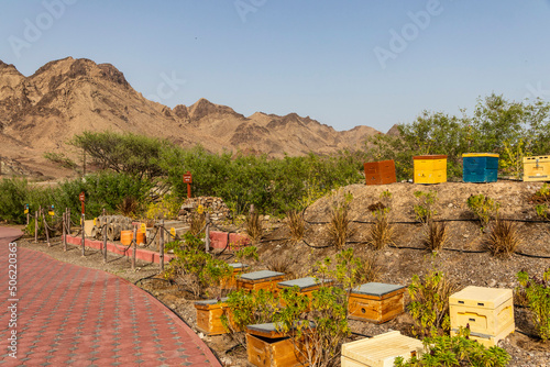 Dubai, UAE - 05.08.2022 - Different types of bee hives in display at Hatta honey bee garden and discovery center. Discovery photo