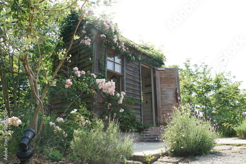 house in the woods