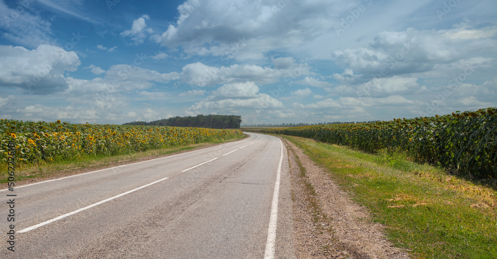 Country road ang sunflowers field