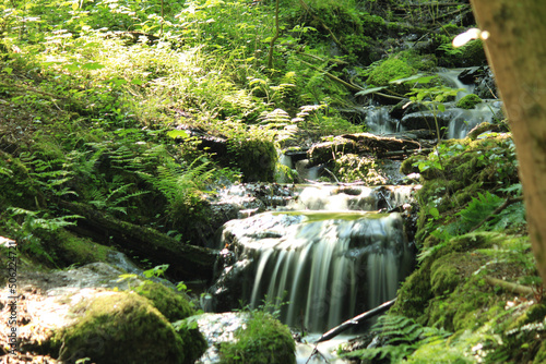 waterfall in the forest