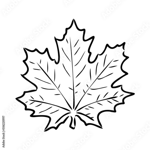 fall leaf clipart, black and white leaf drawing, vector clipart