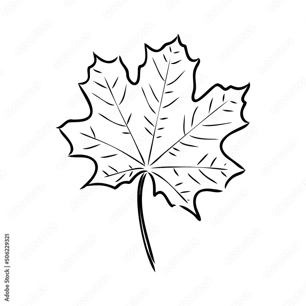 Fototapeta premium fall leaf clipart, black and white leaf drawing, vector clipart