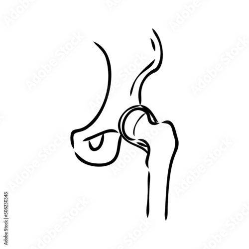 Hip Bone line icon vector illustration logo design.