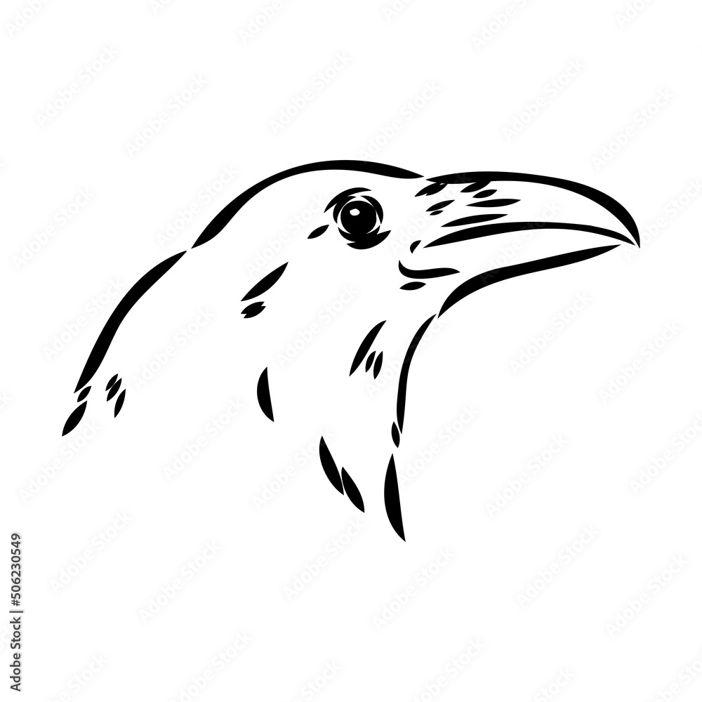 Naklejka premium Hand-drawn black crow. Raven, bird sketch, vector illustration
