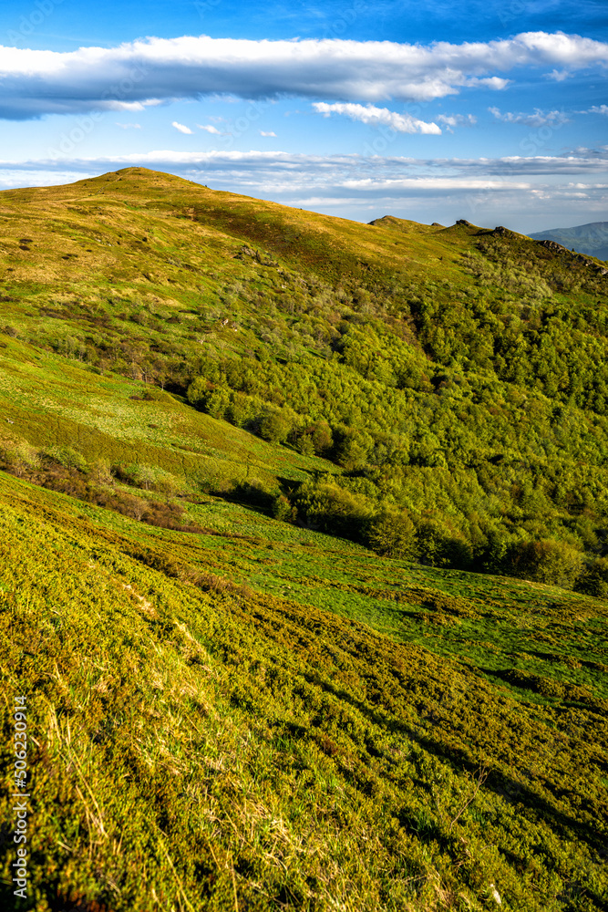 Obraz premium Spring mountain landscape. Bieszczady Mountains. Poland.