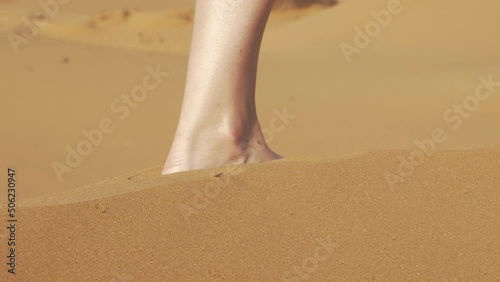 Female legs go on sand in desert. Feet of girl step, are drowning in dune. Faceless young woman walks with effort through hot barkhan. Wanderer, traveler moving with difficulty, surviving in heat