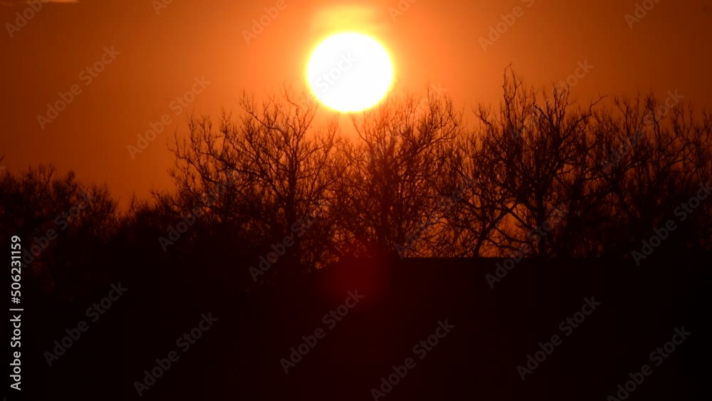 Vivid sunrise over tree line with lens glare, silhouette trees, morning fool sun above the trees Vivid sunrise over tree line with lens glare, silhouette trees, morning fool sun above the trees