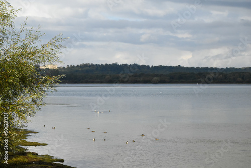 Cloudy weather at Rutland Water nature reserve in the East Midlands  UK. Managed by the Rutland and Leicestershire Wildlife Trust