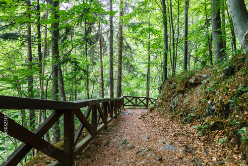 Walking trail in the mountains with wooden handrails