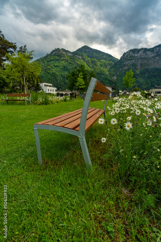 Fototapeta premium eine Parkbank auf einer Wiese mit vielen verschiedenen Blumen und Margeriten, an einem trüben Tag, mit Bäumen und Bergen im Hintergrund.