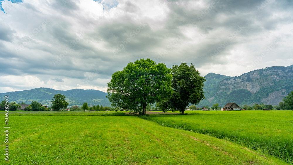 Obraz premium im Frühling spriessende und blühende Bäume am sonnigen Tag mit aufziehendem Gewitter. grüne Wiesen, Berge und graue Wolken machen eine dramatische Stimmung im Rheintal, Dornbirn, Vorarlberg, Austria