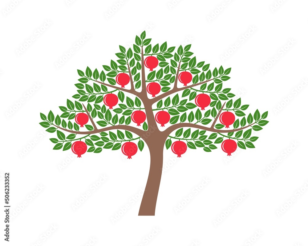 Pomegranate tree. Logo. Isolated pomegranate on white background