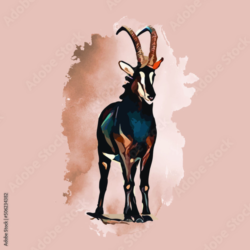 Watercolor sable antelope, Hand drew sable antelope