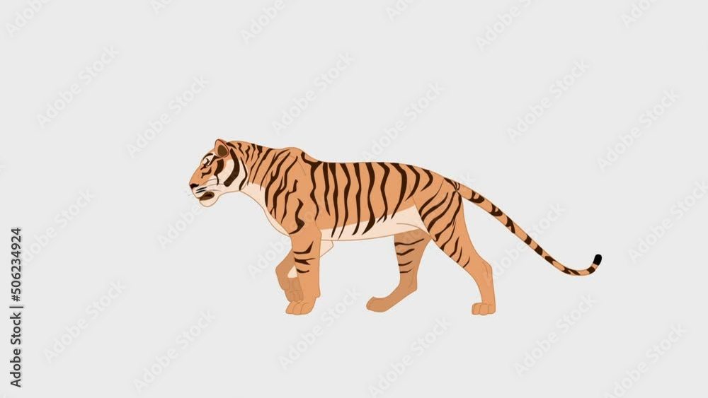 Tiger walking loop 2d animation