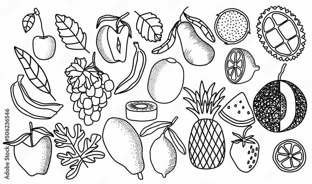 Fototapeta premium fruits, fruit, drawing, doodle, grapes, dragon fruit, pomegranate, watermelon, cherry, orange, lemon, kiwi apple, avocado, durian, pineapple, banana, strawberry, papaya, grape, apple, art, background,