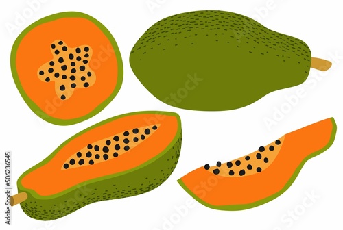 fruit, papaya, background, bones, cartoon, colored, delicious, dessert, diet, doodle, draw, drawing, exotic, food, fresh, freshness, gourmet, graphic design, graphic elements, green, half, hand, healt