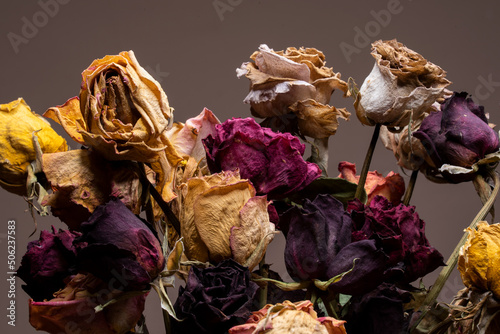 A beautiful bouquet of wilted dried out roses on an isolated plain background in a vintage vase flower pot with top lighting photo