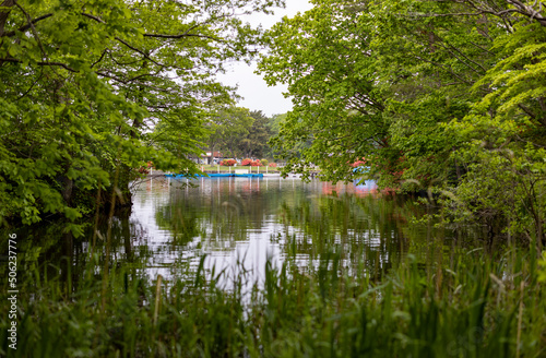 Low angle view of a pond with green plants and boats