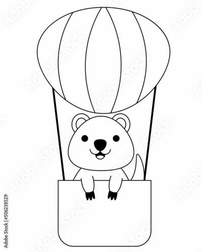 Cute cartoon Quokka in an inflatable Balloon. Draw illustration in black and white photo