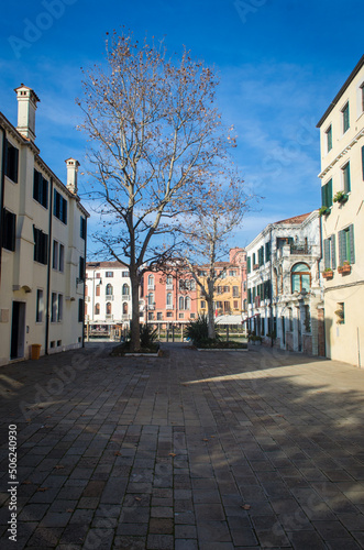 Un albero cresce in un tipico campiello veneziano