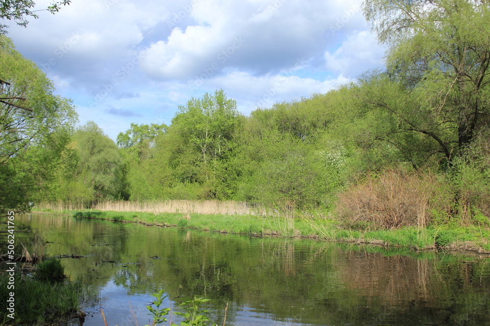Fototapeta premium View of the river in the city park. Russia.