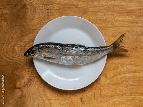 Lightly salted Baikal omul on a white plate on a wooden table photo